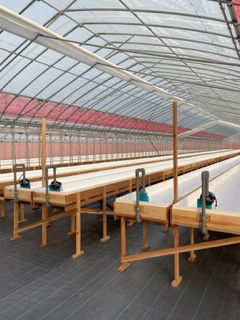 木製ベッドのオーダーメイド水耕栽培設備