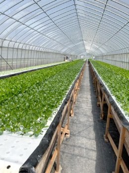 本格的な農業事業レベルの設備